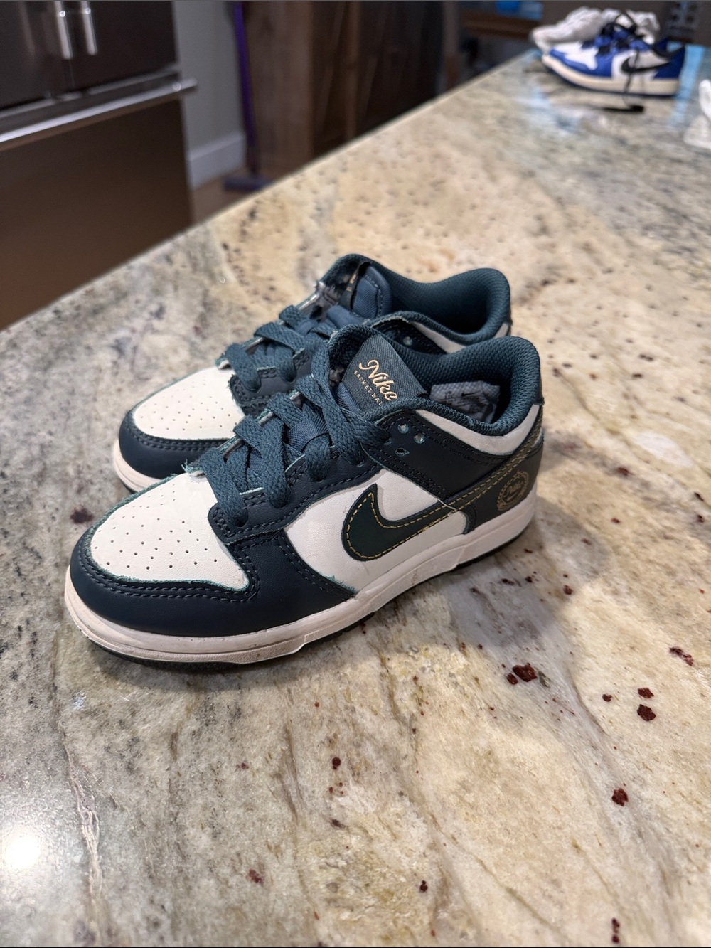 Nike Kids Teal and White Low-Top Sneakers